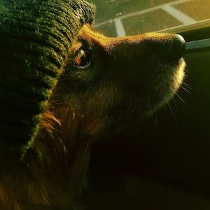 Meet your Posher, Erika